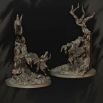 Linternas del Fraile - Imagen 6