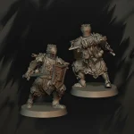 Caballeros Forlorn con escudo - Imagen 5